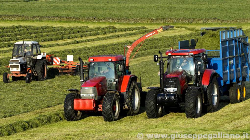 video_aziende_agricole_produzione_galliano